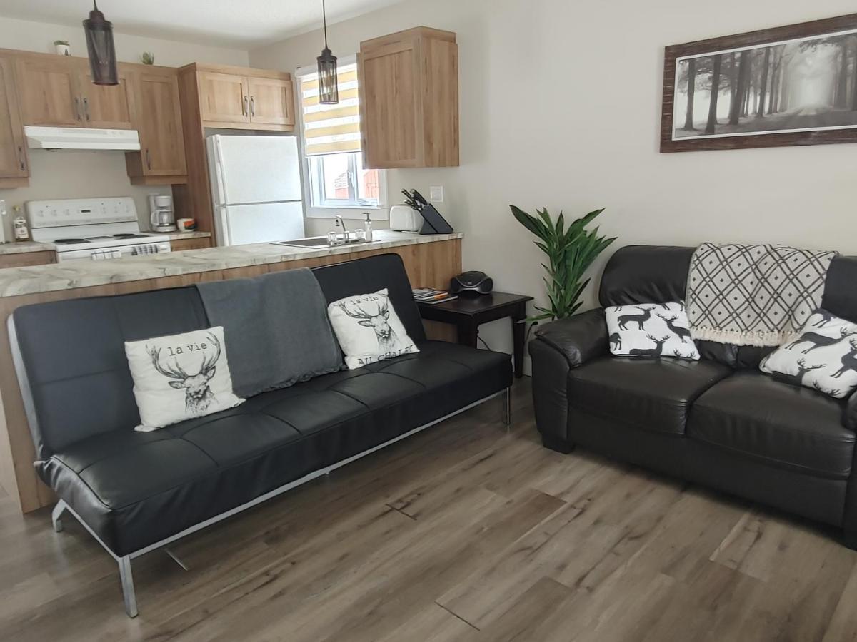 Chalet Mathis Saint-Raymond Dış mekan fotoğraf